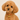 Coleira Personalizada Caramelo para Cachorro com Pingentes