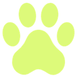Coleira de identificação com pingente decorativo