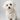 Coleira Personalizada Grumet Delicada para Cachorro