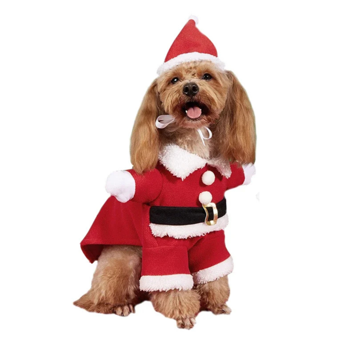 Fantasia de Papai Noel para Pets