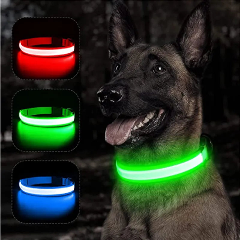 Coleira LED para Cães e Gatos
