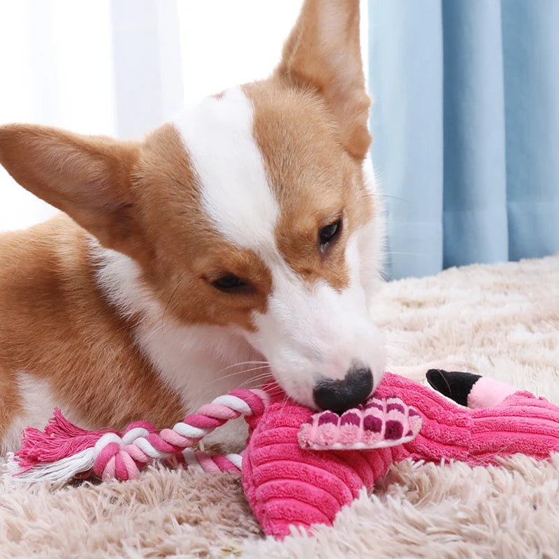 Brinquedo de Pelúcia Flamingo para Cães