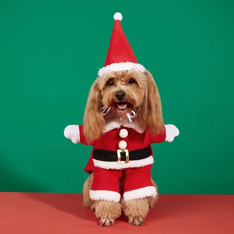 Fantasia de Papai Noel para Pets