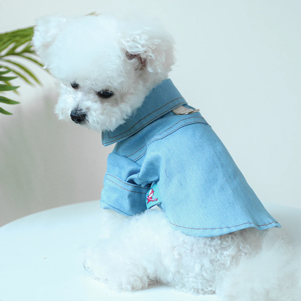 Roupinha Pet - Camisa Jeans Azul