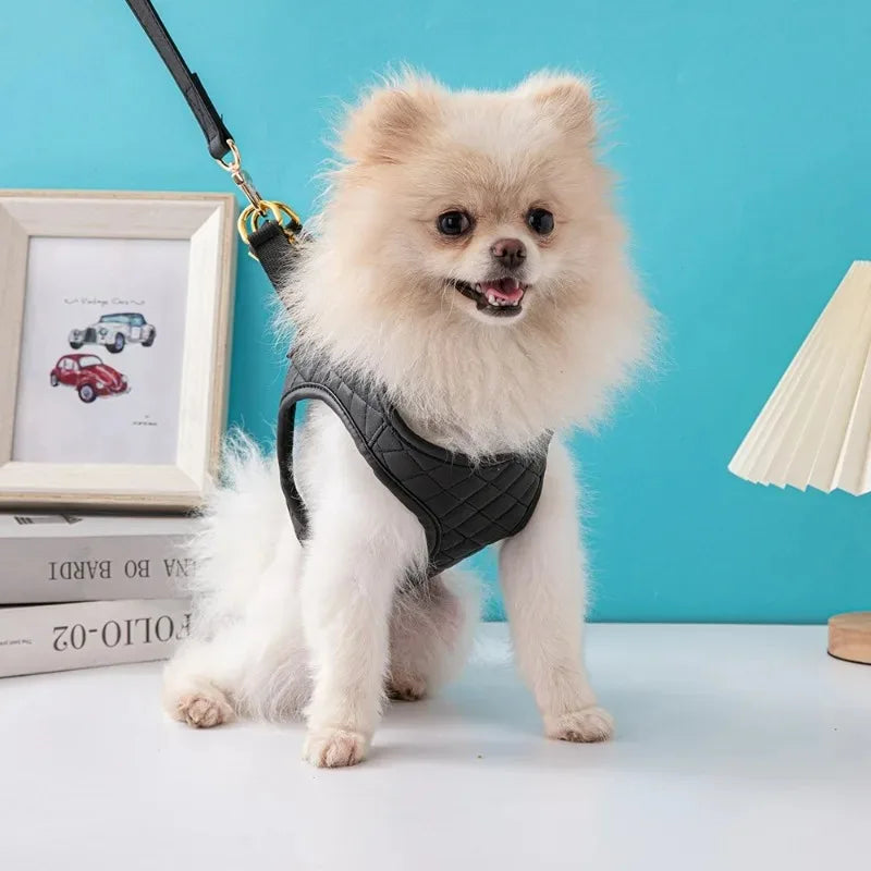 Conjunto de Peitoral de Couro para Cães - Chanel