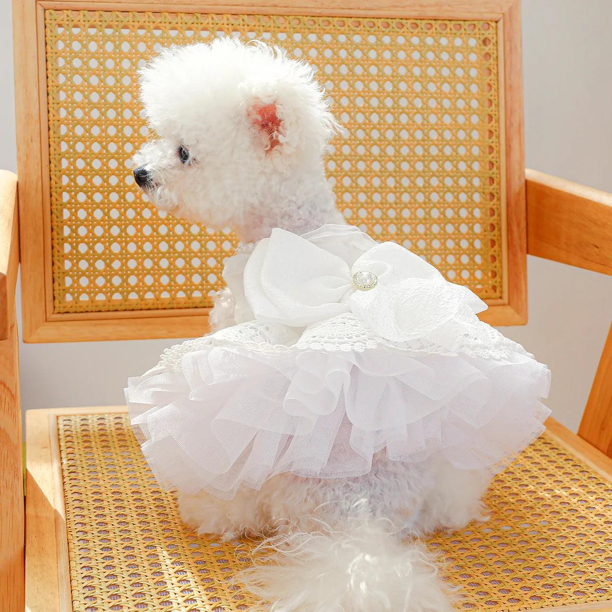 1PC Pet Clothing Dog Queen Wedding Dress Bow Cat Spring/Summer Princess Dress Suitable for Small and Medium sized Dogs - Bicho de Pata