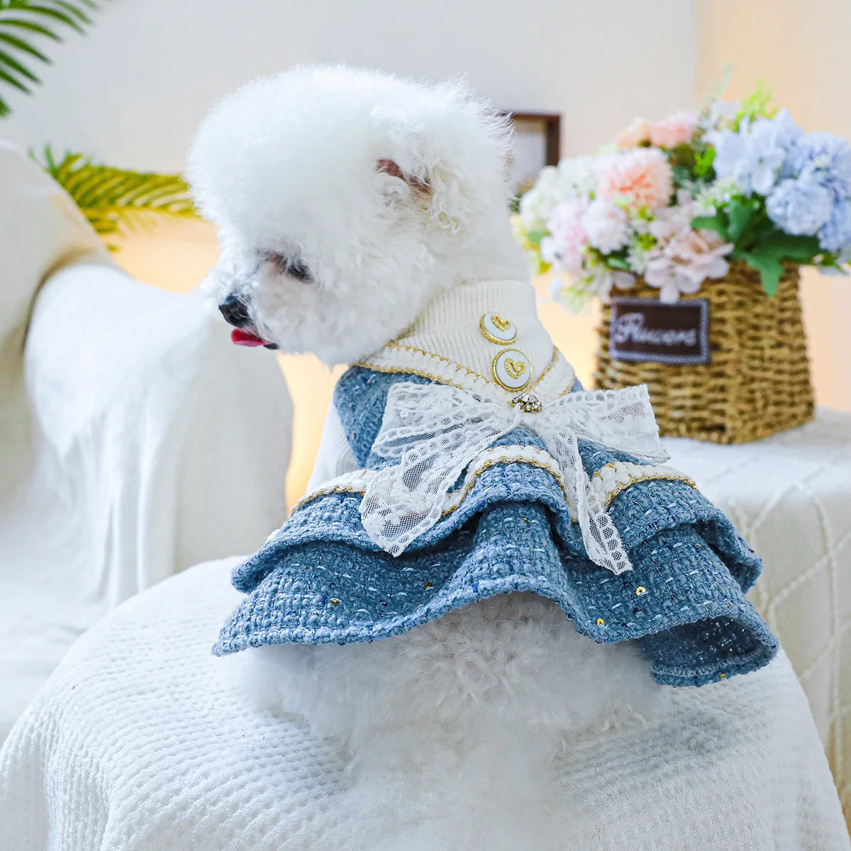 Roupinha Pet - Vestido de Tweed com Laço para Cachorro