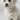 Coleira Personalizada Grumet Delicada para Cachorro